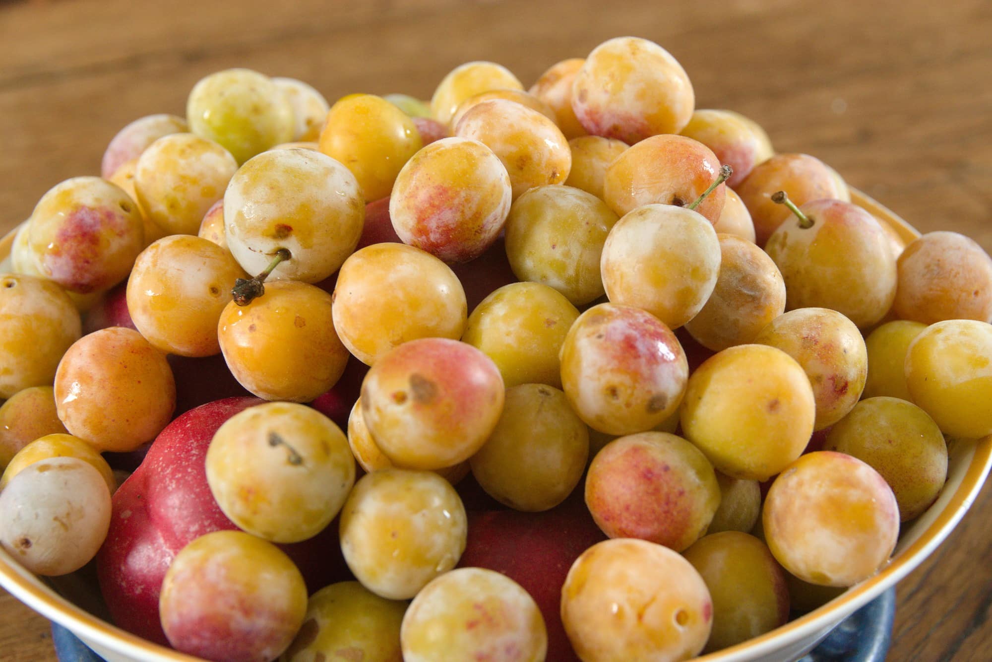 mirabelles du mois d'août au Regyn's
