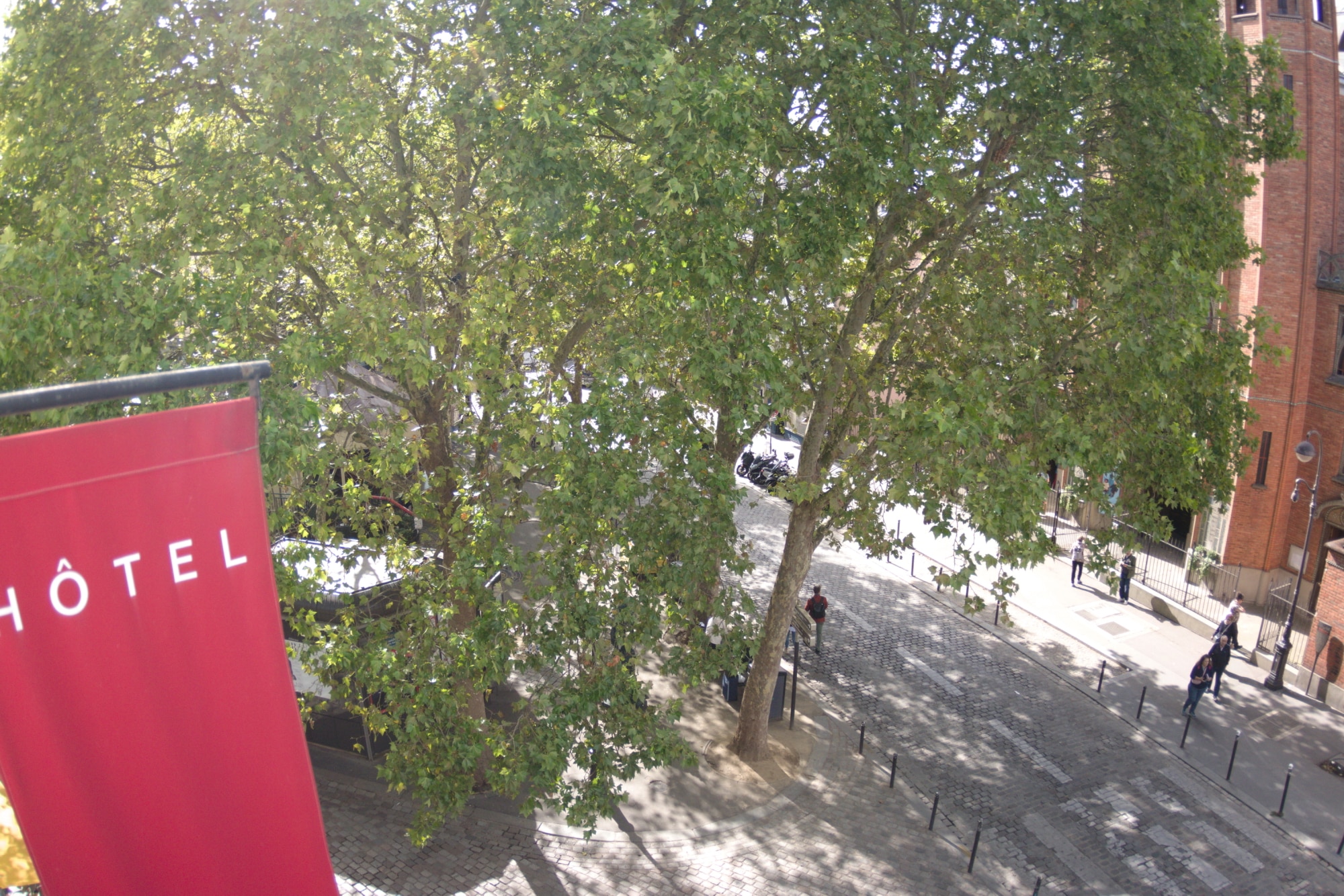 les beaux platanes de la place des Abbesses